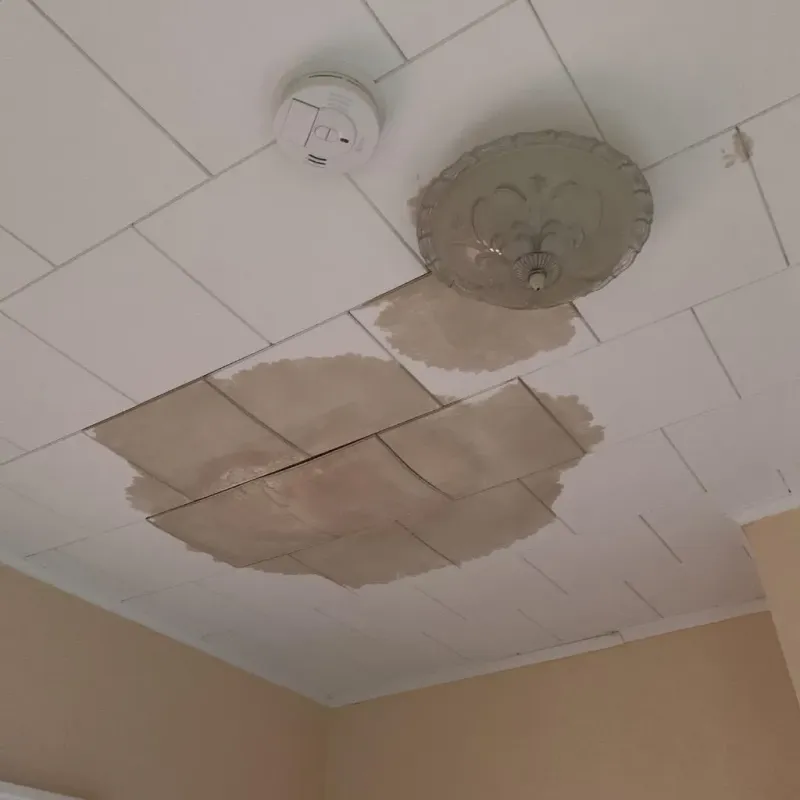 Ceiling Water Damage Repair in Preston Heights, IL