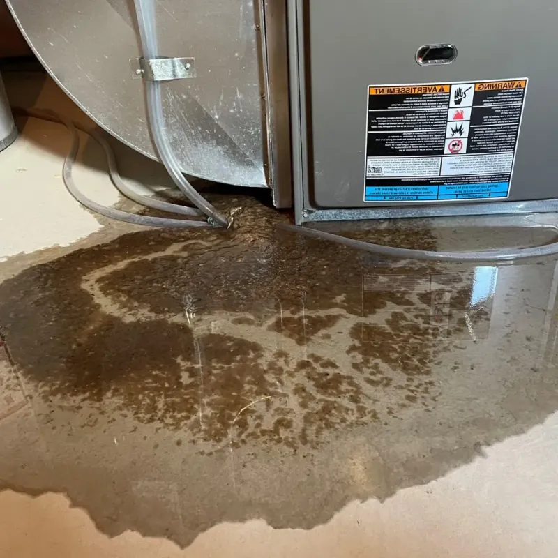 Pipe Burst and Leak Restoration in Preston Heights, IL