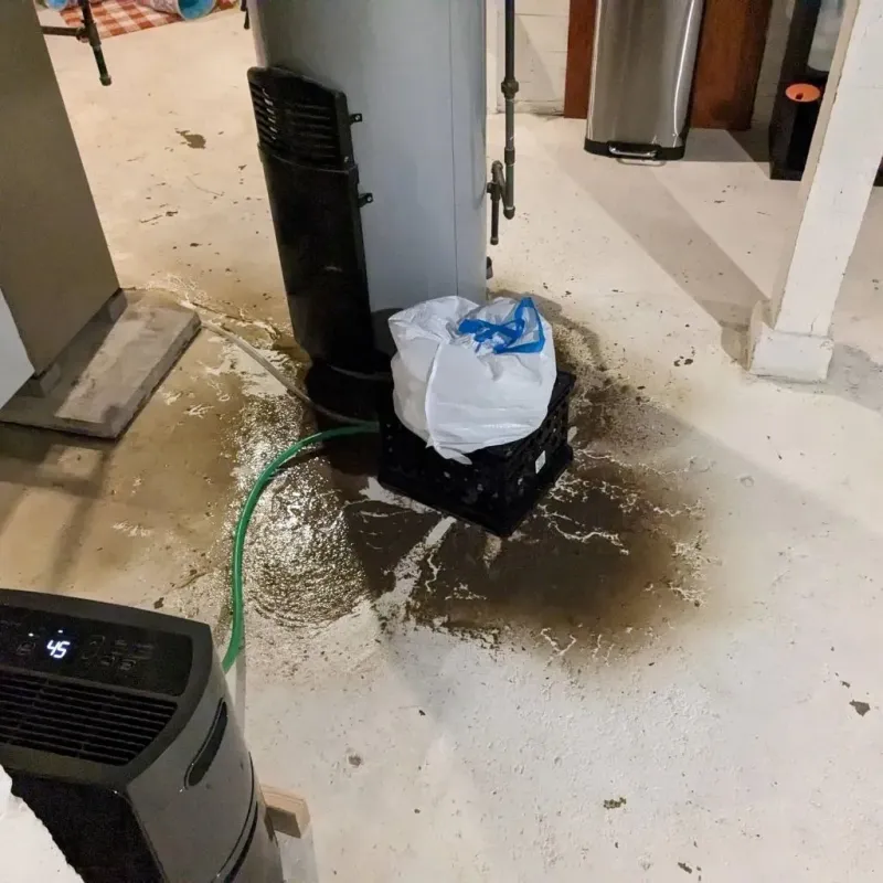 Sewage Backup Cleanup Service in Preston Heights, IL